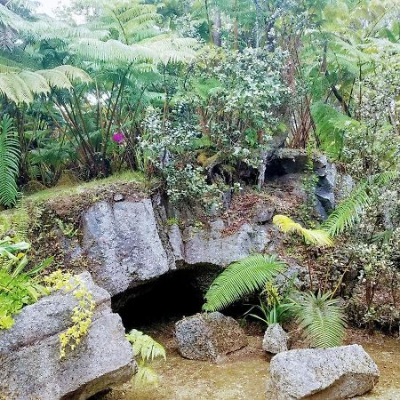 'Ama'U Lani Cottage Volcano Εξωτερικό φωτογραφία
