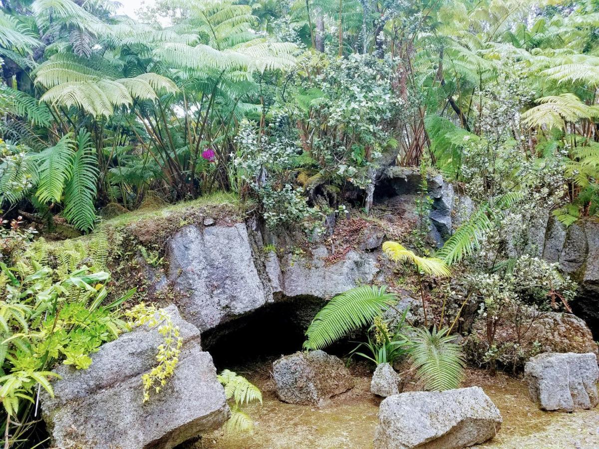 'Ama'U Lani Cottage Volcano Εξωτερικό φωτογραφία
